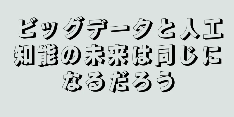 ビッグデータと人工知能の未来は同じになるだろう