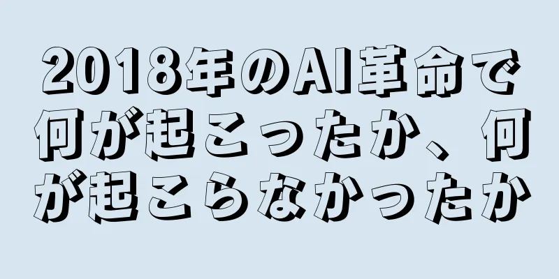 2018年のAI革命で何が起こったか、何が起こらなかったか
