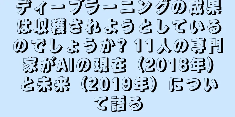 ディープラーニングの成果は収穫されようとしているのでしょうか? 11人の専門家がAIの現在（2018年）と未来（2019年）について語る