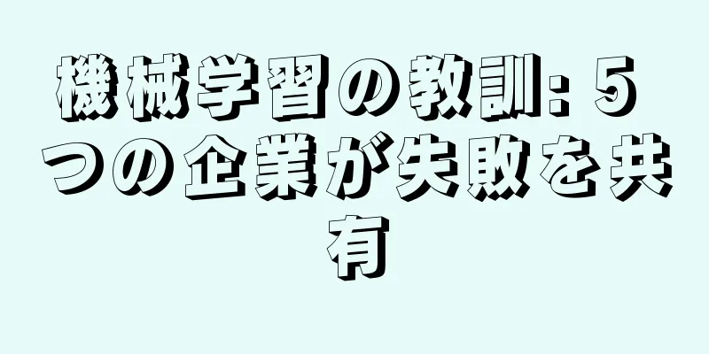 機械学習の教訓: 5 つの企業が失敗を共有