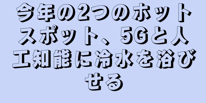今年の2つのホットスポット、5Gと人工知能に冷水を浴びせる