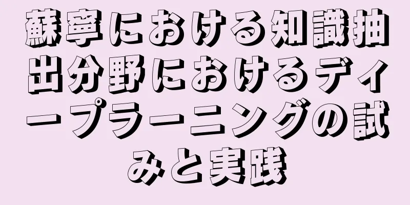 蘇寧における知識抽出分野におけるディープラーニングの試みと実践