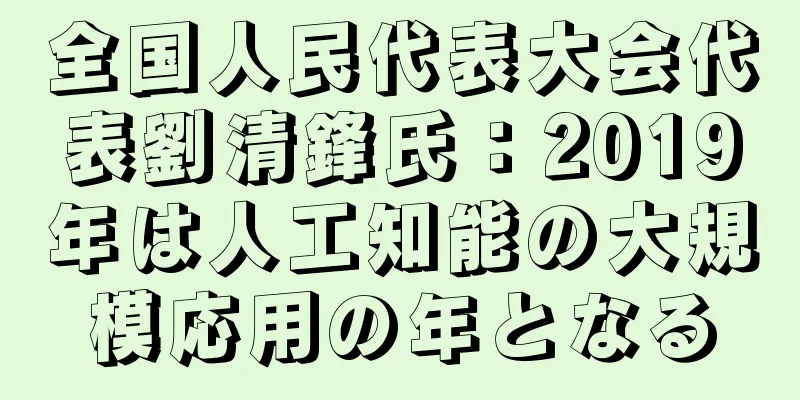 全国人民代表大会代表劉清鋒氏：2019年は人工知能の大規模応用の年となる