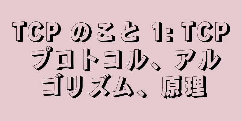 TCP のこと 1: TCP プロトコル、アルゴリズム、原理