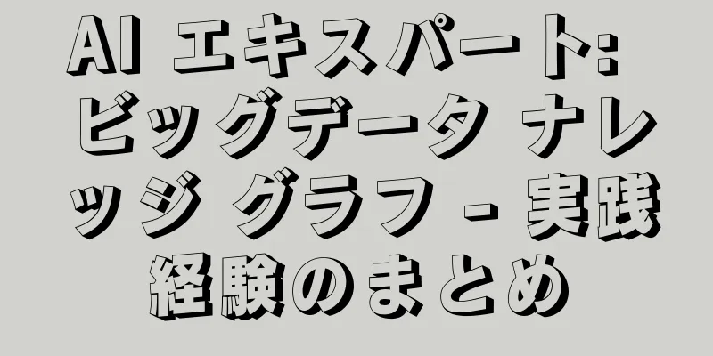 AI エキスパート: ビッグデータ ナレッジ グラフ - 実践経験のまとめ