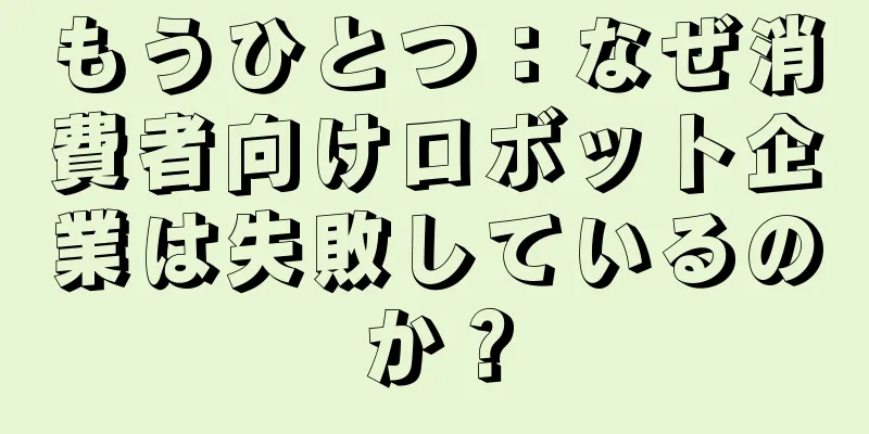 もうひとつ：なぜ消費者向けロボット企業は失敗しているのか？
