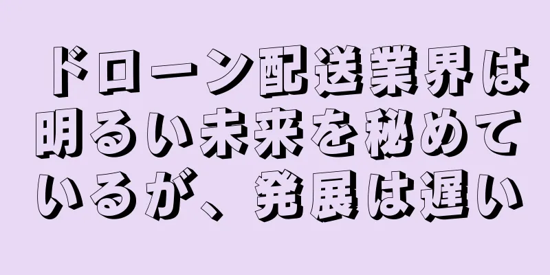 ドローン配送業界は明るい未来を秘めているが、発展は遅い