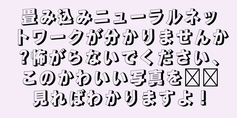 畳み込みニューラルネットワークが分かりませんか?怖がらないでください、このかわいい写真を​​見ればわかりますよ！
