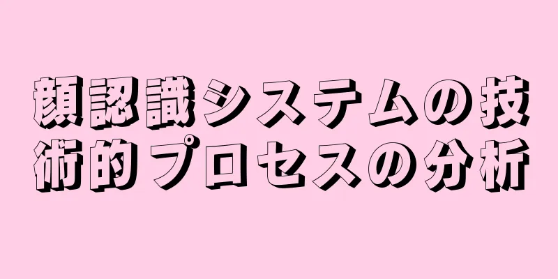 顔認識システムの技術的プロセスの分析