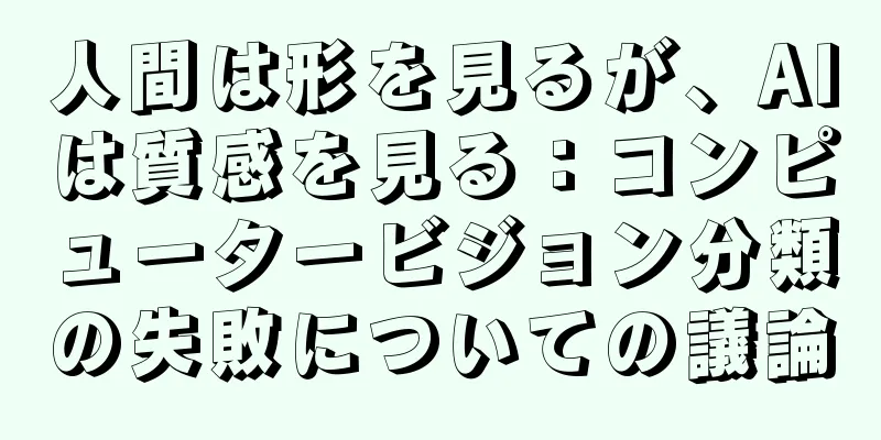 人間は形を見るが、AIは質感を見る：コンピュータービジョン分類の失敗についての議論