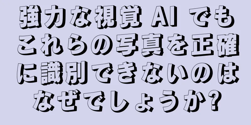 強力な視覚 AI でもこれらの写真を正確に識別できないのはなぜでしょうか?