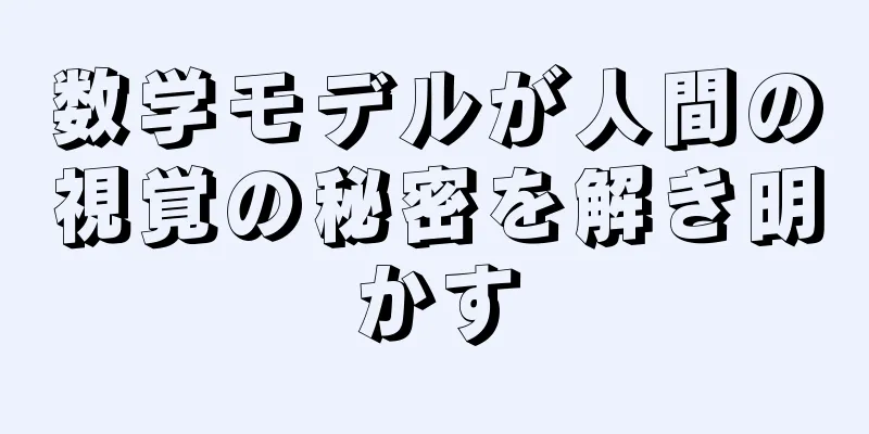 数学モデルが人間の視覚の秘密を解き明かす