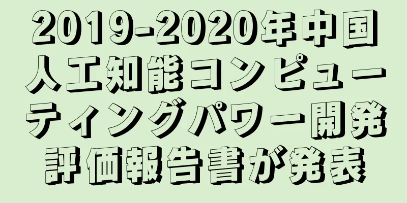 2019-2020年中国人工知能コンピューティングパワー開発評価報告書が発表