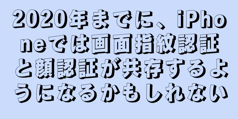 2020年までに、iPhoneでは画面指紋認証と顔認証が共存するようになるかもしれない