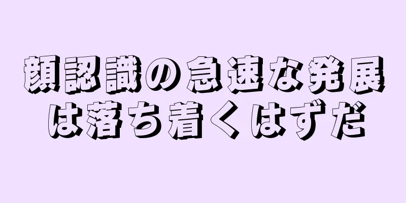 顔認識の急速な発展は落ち着くはずだ