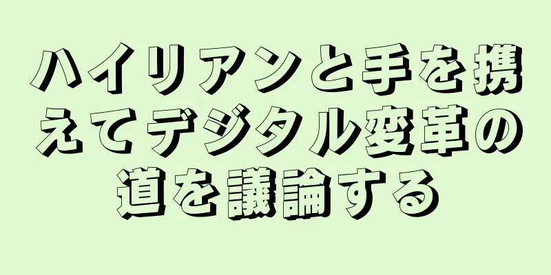 ハイリアンと手を携えてデジタル変革の道を議論する