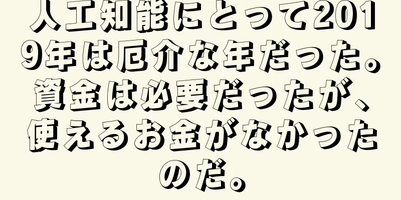 人工知能にとって2019年は厄介な年だった。資金は必要だったが、使えるお金がなかったのだ。