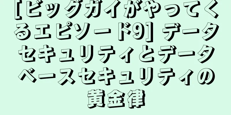 [ビッグガイがやってくるエピソード9] データセキュリティとデータベースセキュリティの黄金律