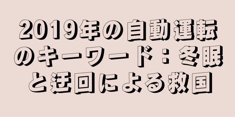 2019年の自動運転のキーワード：冬眠と迂回による救国