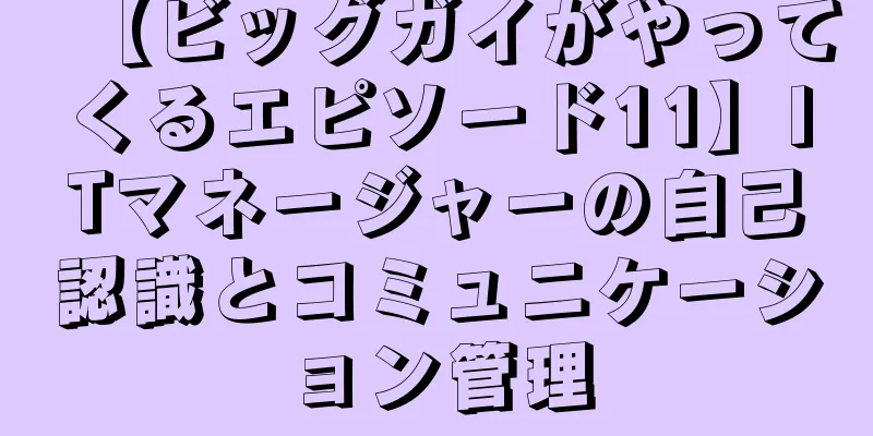 【ビッグガイがやってくるエピソード11】ITマネージャーの自己認識とコミュニケーション管理