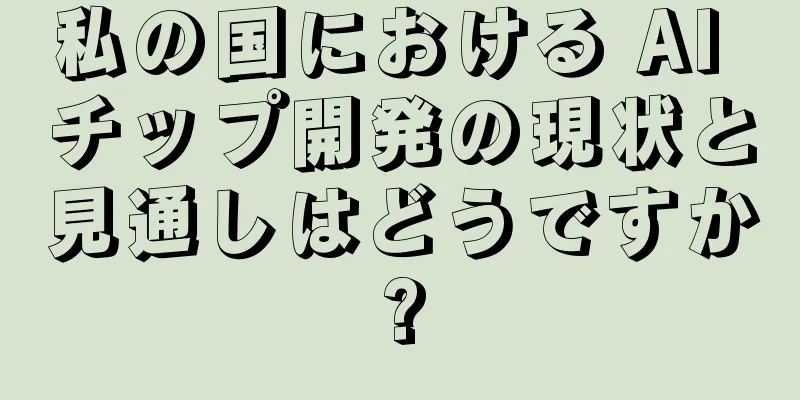 私の国における AI チップ開発の現状と見通しはどうですか?