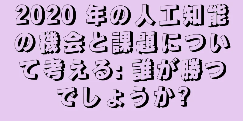 2020 年の人工知能の機会と課題について考える: 誰が勝つでしょうか?