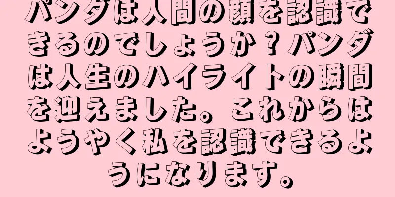 パンダは人間の顔を認識できるのでしょうか？パンダは人生のハイライトの瞬間を迎えました。これからはようやく私を認識できるようになります。