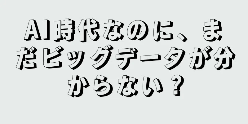 AI時代なのに、まだビッグデータが分からない？