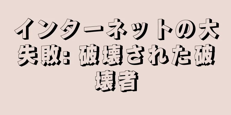 インターネットの大失敗: 破壊された破壊者