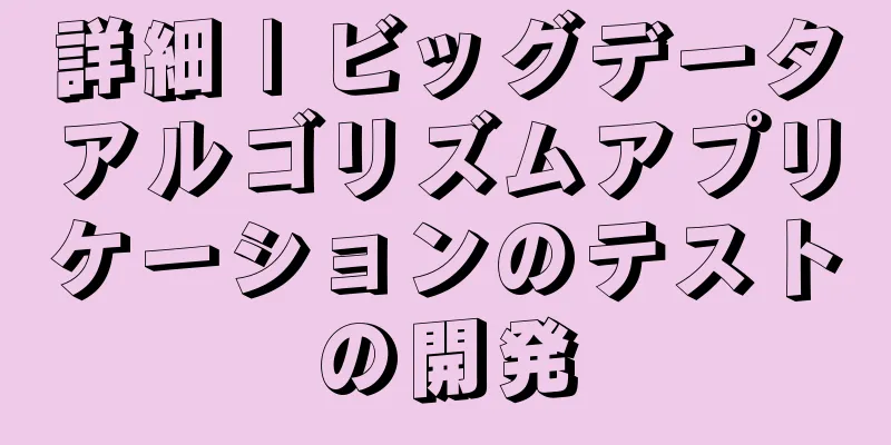 詳細 | ビッグデータアルゴリズムアプリケーションのテストの開発