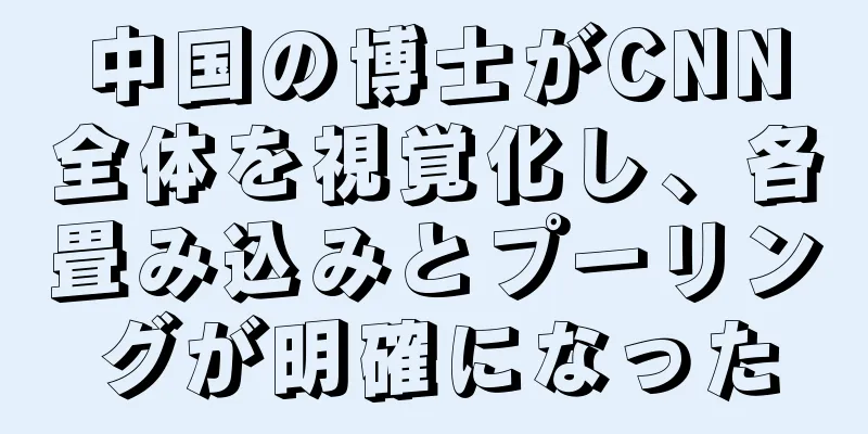 中国の博士がCNN全体を視覚化し、各畳み込みとプーリングが明確になった
