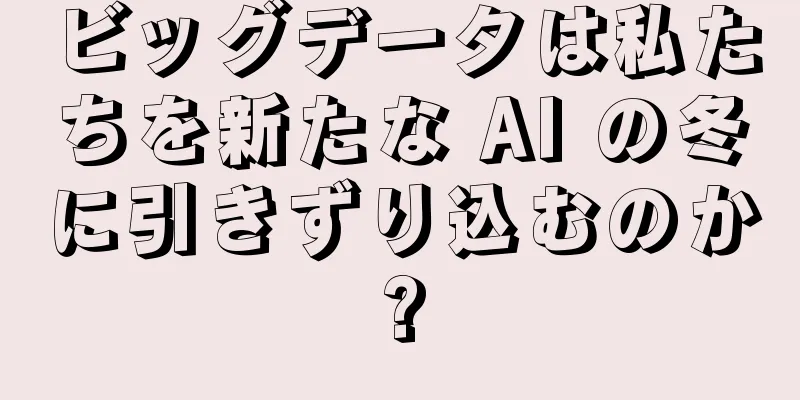 ビッグデータは私たちを新たな AI の冬に引きずり込むのか?