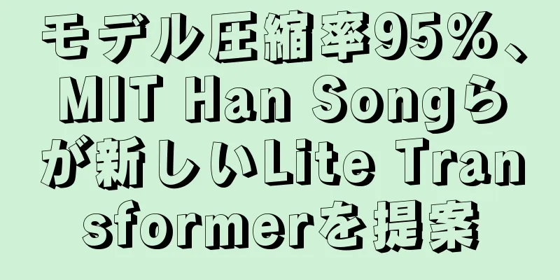 モデル圧縮率95%、MIT Han Songらが新しいLite Transformerを提案
