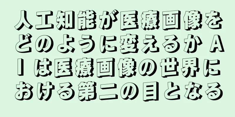 人工知能が医療画像をどのように変えるか AI は医療画像の世界における第二の目となる