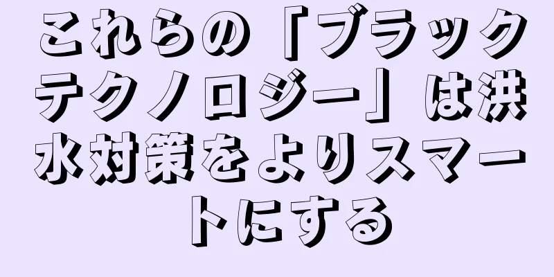 これらの「ブラックテクノロジー」は洪水対策をよりスマートにする