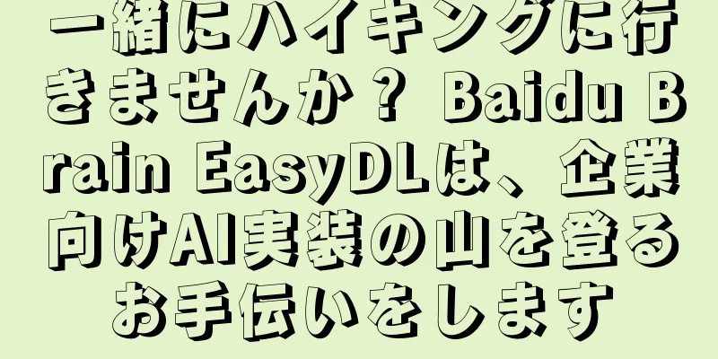 一緒にハイキングに行きませんか？ Baidu Brain EasyDLは、企業向けAI実装の山を登るお手伝いをします