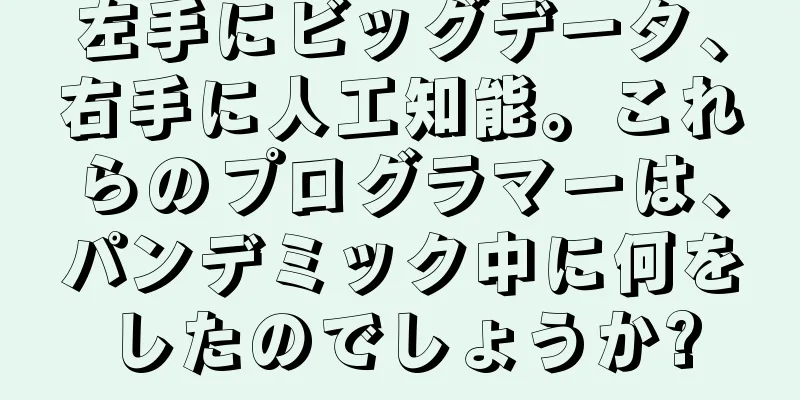 左手にビッグデータ、右手に人工知能。これらのプログラマーは、パンデミック中に何をしたのでしょうか?