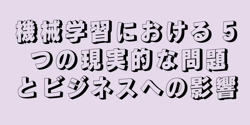 機械学習における 5 つの現実的な問題とビジネスへの影響