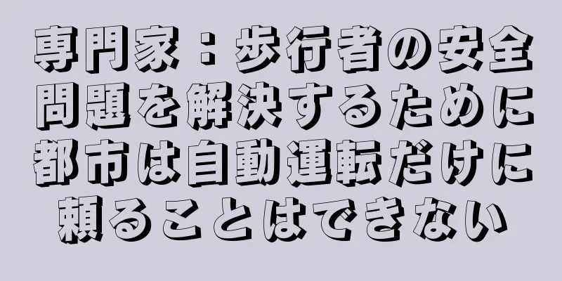 専門家：歩行者の安全問題を解決するために都市は自動運転だけに頼ることはできない