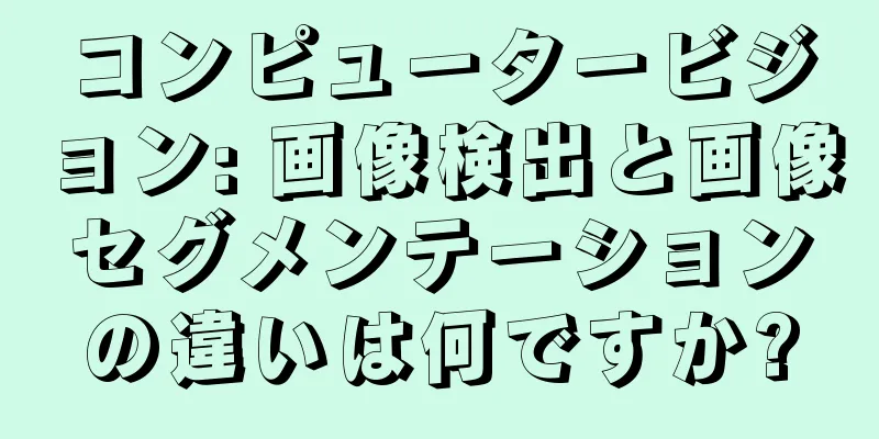 コンピュータービジョン: 画像検出と画像セグメンテーションの違いは何ですか?