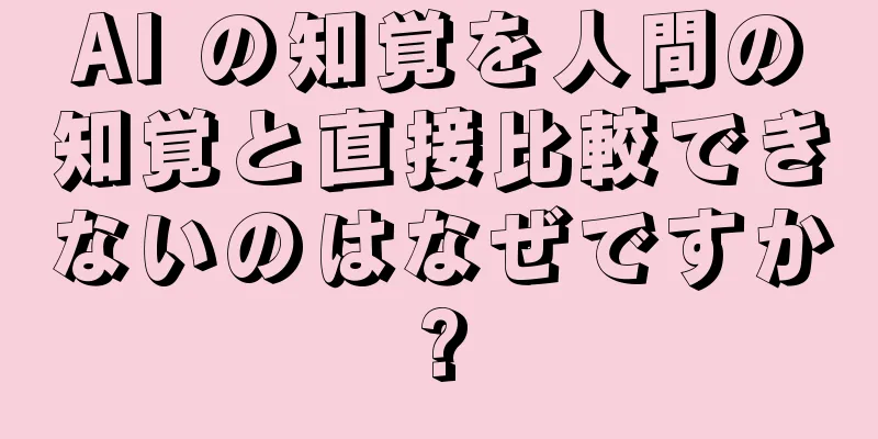 AI の知覚を人間の知覚と直接比較できないのはなぜですか?