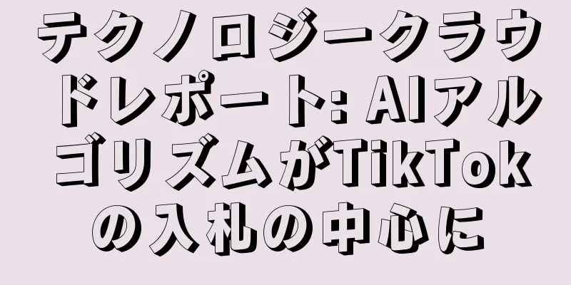 テクノロジークラウドレポート: AIアルゴリズムがTikTokの入札の中心に