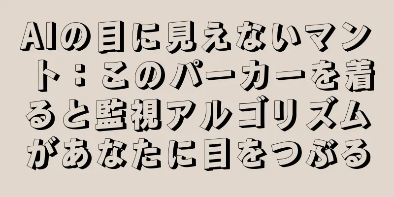 AIの目に見えないマント：このパーカーを着ると監視アルゴリズムがあなたに目をつぶる