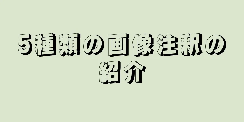 5種類の画像注釈の紹介