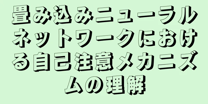 畳み込みニューラルネットワークにおける自己注意メカニズムの理解