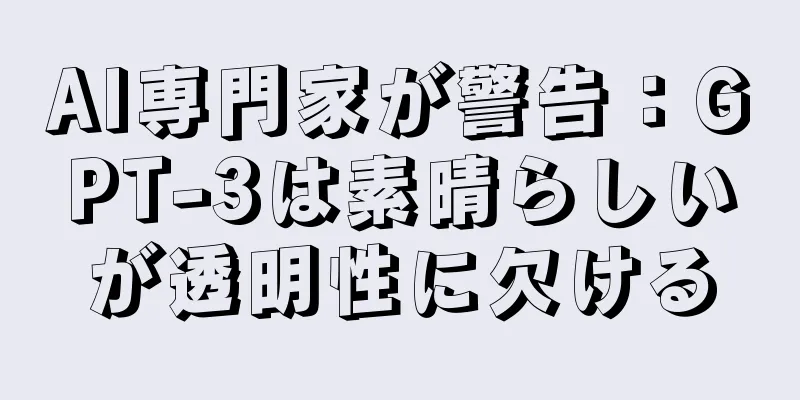 AI専門家が警告：GPT-3は素晴らしいが透明性に欠ける
