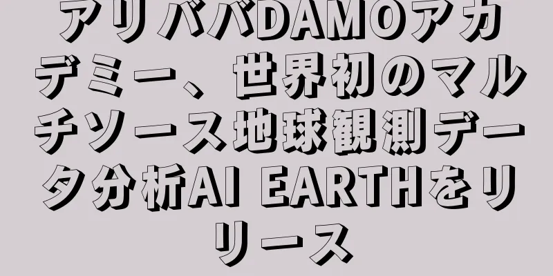 アリババDAMOアカデミー、世界初のマルチソース地球観測データ分析AI EARTHをリリース