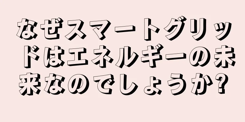 なぜスマートグリッドはエネルギーの未来なのでしょうか?
