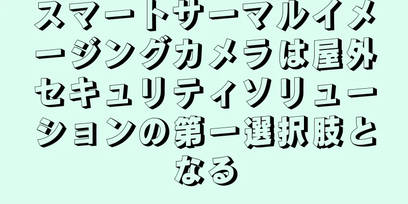 スマートサーマルイメージングカメラは屋外セキュリティソリューションの第一選択肢となる