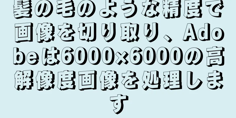 髪の毛のような精度で画像を切り取り、Adobeは6000×6000の高解像度画像を処理します